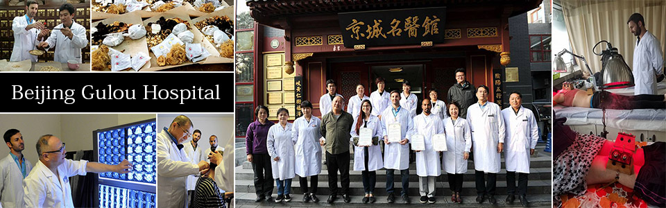 Beijing Chinese Medicine Trip 2017