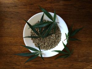 Hemp Seeds Chinese Herbal Medicine Natural